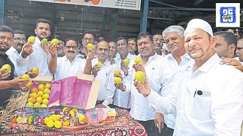 Devgad Hapus Mango Kolhapur