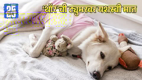 Veterinary Success Story India