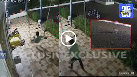 pune Leopard Attack viral video