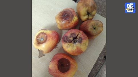 Patients at Akola hospital served rotten fruits and eggs