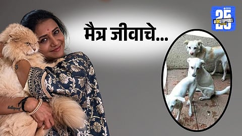 Jui Gadkari's Emotional Bond with Street Dogs