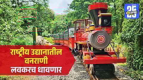 National Park Toy Train