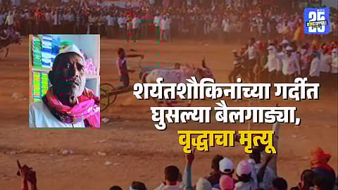 Sangli Bullock Cart Race