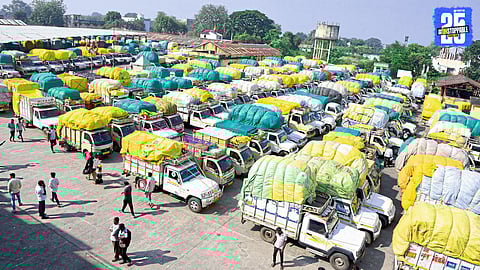 Hinganghat farmers halt cotton registration; over 523 vehicles arrive with cotton on first day, market activity disrupted.