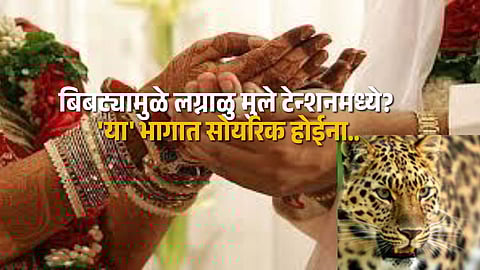 Leopard fear grips rural Maharashtra; families refuse marriage proposals in affected villages amid rising panic.