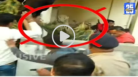 Leopard spotted causing chaos in a crowded Nashik locality as citizens and a forest department worker sustain injuries during the sudden attack.