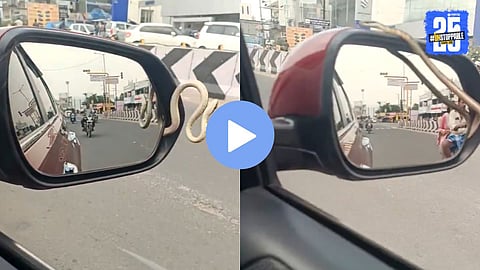 Cobra vs Car Driver Viral Video : कारच्या साईड मिररमध्ये लपला होता मृत्यू, ड्रायव्हरने पाहताच... थरारक व्हिडिओ होतोय व्हायरल