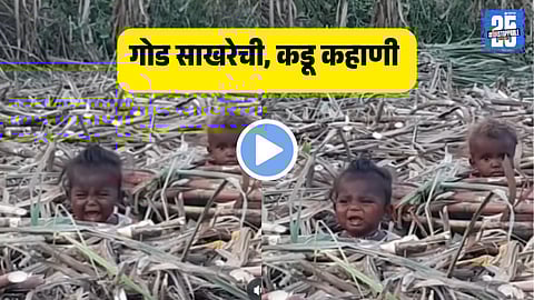 sugarcane laborers kids video goes viral on bal din touches millions  