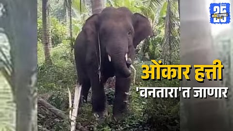 Minister Rane Confirms Court Order to Shift Omkar Elephant