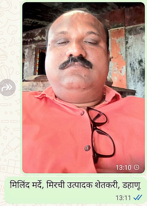 रब्बी हंगामाचे बळीराजाला वेध