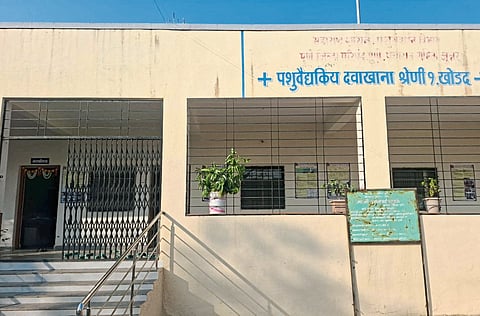 अपुऱ्या सुविधांमुळे खोडद परिसरातील पशुपालक त्रस्त