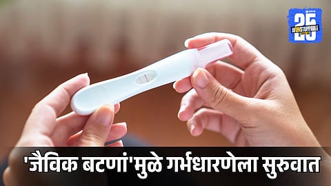 Biological Buttons in Genes: Unlocking the Mystery of Early Pregnancy