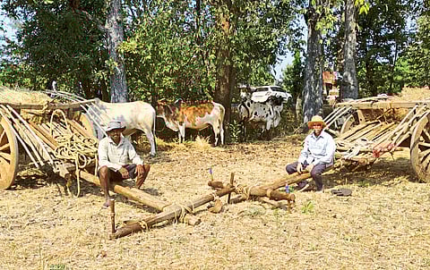 ग्रामीण भागातील बैलगाडी संस्कृती उंबरणीवर