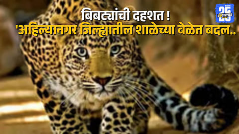 Leopard Scare Forces Schools in Sensitive Zones of Ahmednagar to Change Hours
