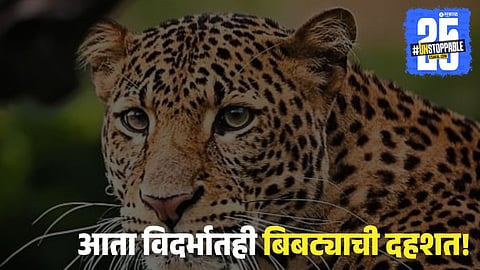 Leopard Enters House in Nagpur 