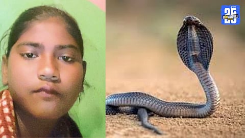Holiday Turns Fatal Girl Dies After Snakebite in Watapur Fields