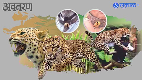Human-wildlife conflict solutions India