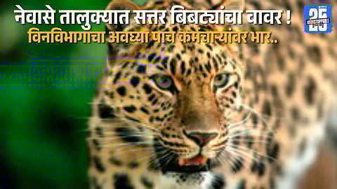 Newasa Leopard Scare: 13 Traps Installed After Reports of 70 Leopards; Manpower Crisis Deepens