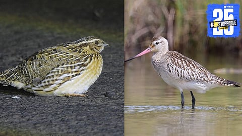 Amravati City Bird Election 2025