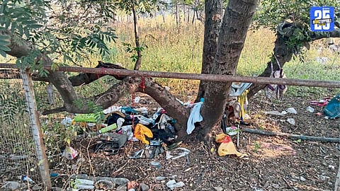 Garbage Accumulation Raises Health Concerns