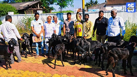 Livestock distribution to 22 selected beneficiaries in Ambegaon taluka