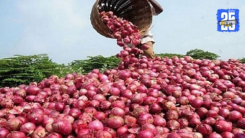 Onion Export
