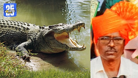 Crocodile Attack in Dattawad Village