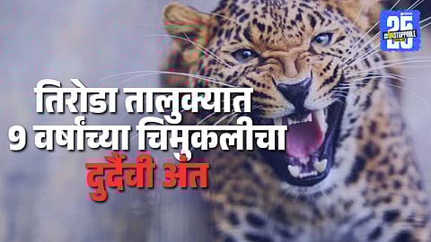 Gondia leopard Attack