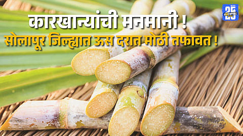 Unorganized farmers in Solapur protesting the rate disparity and alleged arbitrariness by sugar mills.