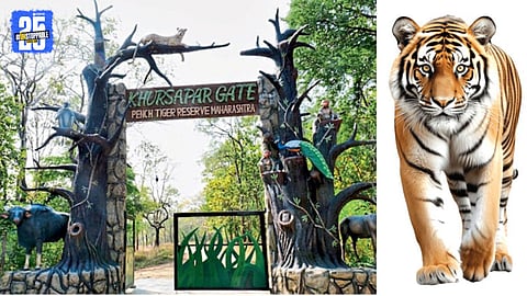 tadoba tiger project