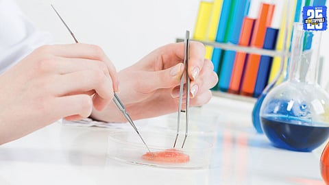 The Rapid Evolution of Implantable Biomaterials