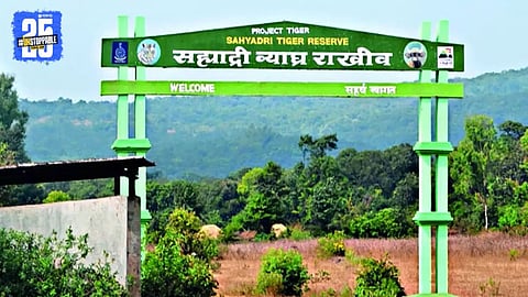 Drone Surveillance Strengthens Monitoring