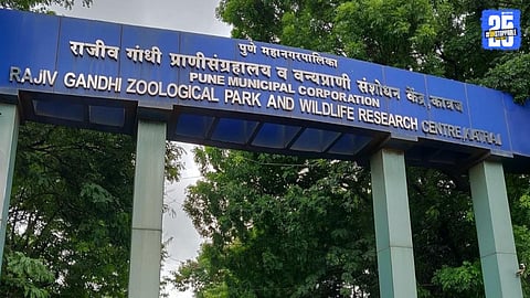 Katraj Zoo Online Booking Receives Overwhelming Response