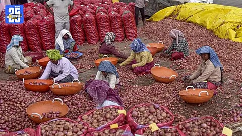 Onion Price Crash Sparks Market Uncertainty