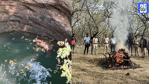 Female Leopard Found Dead After Falling Into Farm Well in Babhulwadi