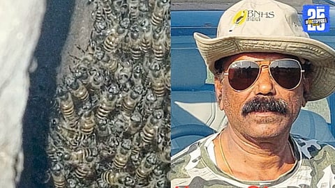 Anthill Turned Honeybee Kingdom: Stunning Symbol of Natural Harmony