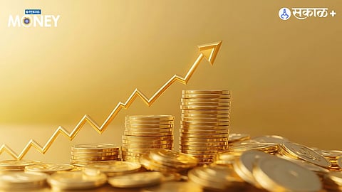 Share Market Investment