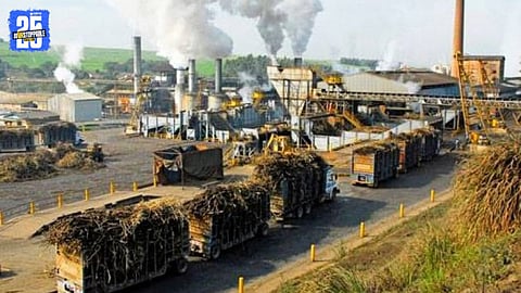 Ajara Sugar Factory Approves