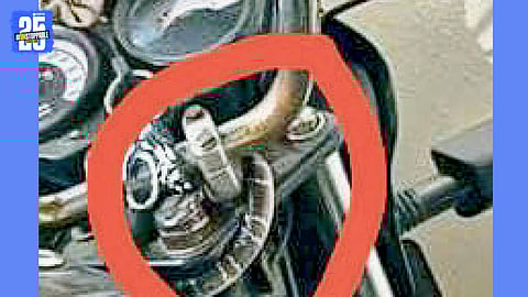 Highly Venomous Krait