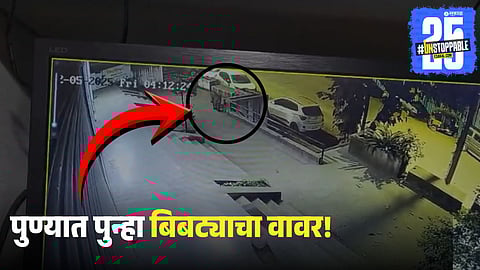 Leopard spotted in Pune