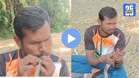 Viral Video : विजेच्या धक्क्याने जखमी झाला नाग, तरुणाने तोंडाने सीपीआर देऊन वाचवला जीव, मंत्र्यांकडून कौतुक, हृदयस्पर्शी व्हिडिओ 