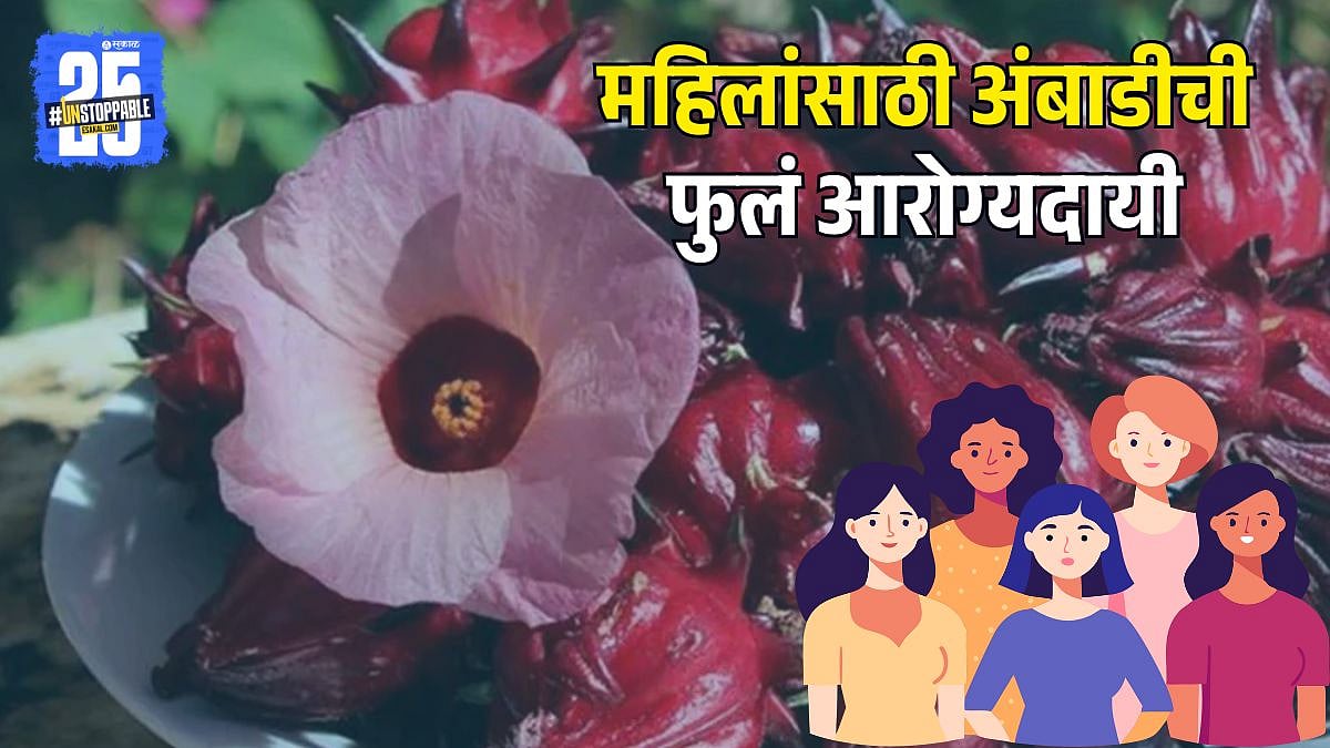 BENEFITS OF AMBADI FLOWERS FOR WOMEN: मासिक पाळी ते वजन वाढीच्या ...