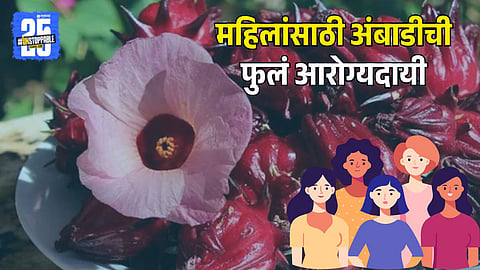 Ambadi Flower Health Benefits for Women
