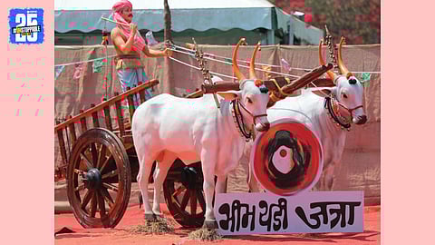 bhimthadi jatra