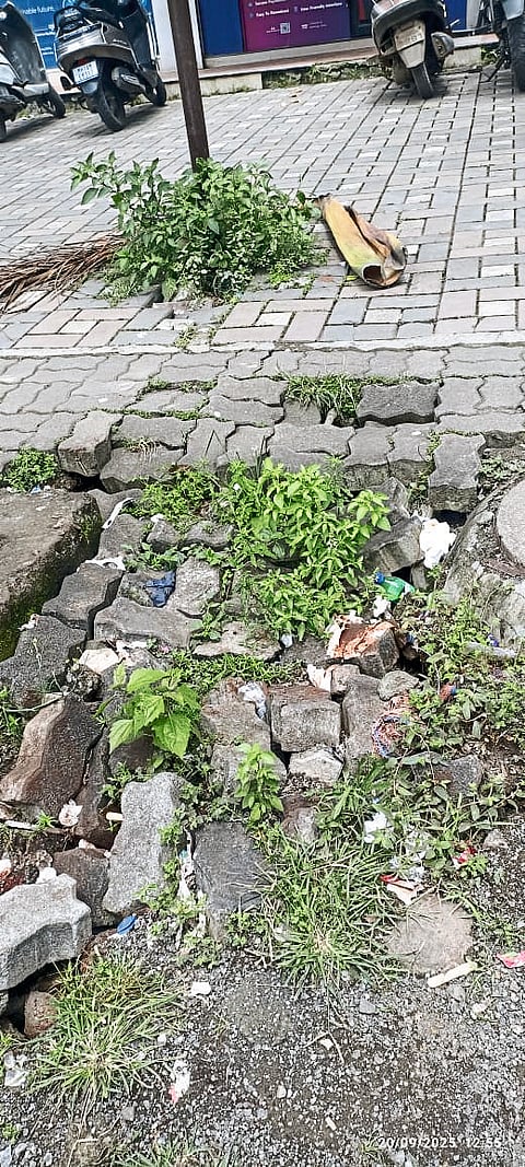 सकाळ संवाद