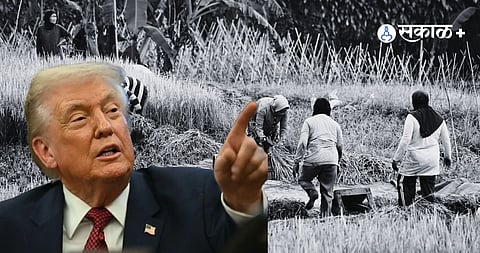 Trump rice tariff threat