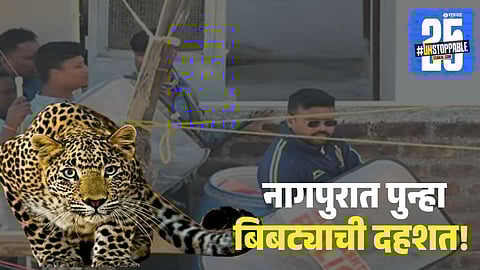 Leopard Enters Pardi Area, Citizens Panic 