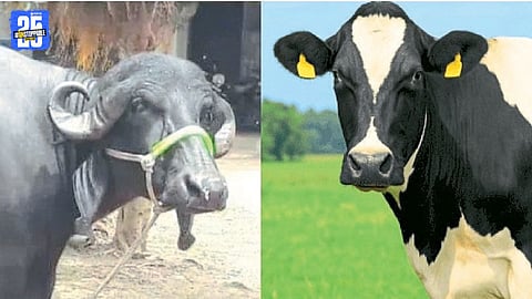 Gokul Shri Competition