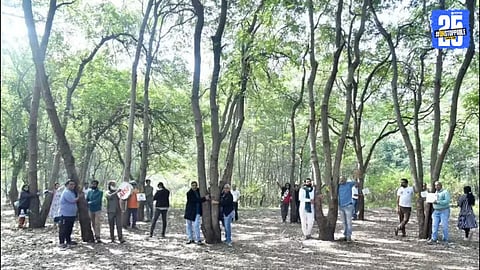 Nashik Kumbh Mela 300 Trees Cutting