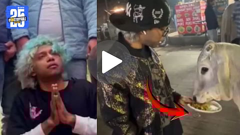 Gurugram YouTuber Fed Chicken Momos To Cow